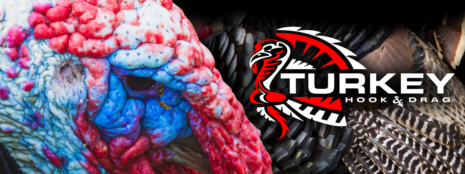 HD Turkey